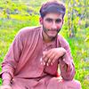 hanat.hasnat