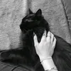 1wll_8