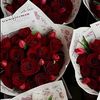lady04645