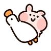 ovo._.0813