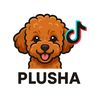 plusha152