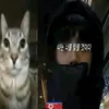 tinksiiiii