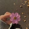 alaa46873