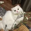 jr_nhtfy2201