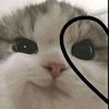 sopi_12379