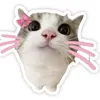 _lovehellokitty0_0