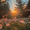 flowers92938