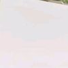 rere_12313