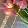 lilou_qu
