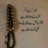 noorzaikhan169