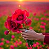 user18119991655988