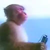 tsoukleris_12