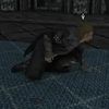 i.hate.nords