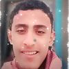 user86704819943576