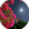 abdullaha4546