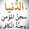 mansur28456