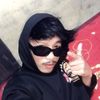 apinn01_