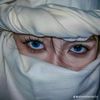 ali.hassan440390