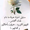 user7336922876182