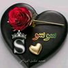 .zahra2436