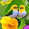 user6192070077817