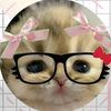 gato.panson00