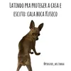 montesclarogmailcm