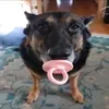 slkeoleo0
