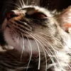 antonia_2014_4