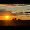 Sunset farming