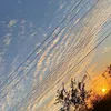 leyla_suarez.34