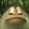 renanalvesdasilva21