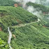 binhminhngotngao