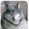 ashy_wolf324
