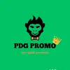 pdgpromo2