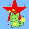 mapache_342