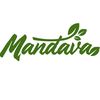 mandavaherb