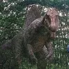 spinosaurus114