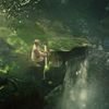 swiftieforest_13