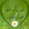 user12862804377616