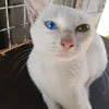 rrraaaahhh_