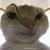 user289004273