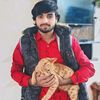 hamza74257