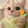 dii_na.lync