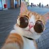 chillbruhchill