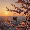 raeda_alazzawi2