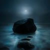 nighttolea