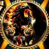 niroshan.niroshan029