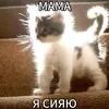 larisa_number2