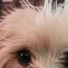 dawnbradshaw07
